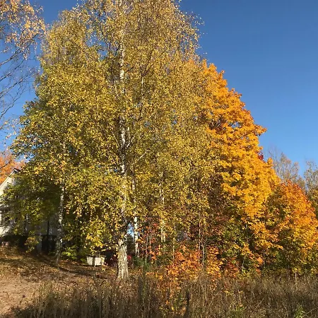 Tientaus 1 Gasthof Imatra