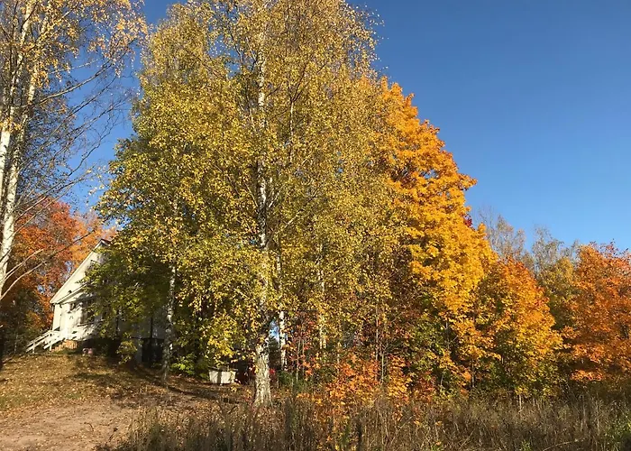 Tientaus 1 Πανσιόν Ιμάτρα
